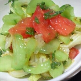 夏野菜の柚味噌サラダ